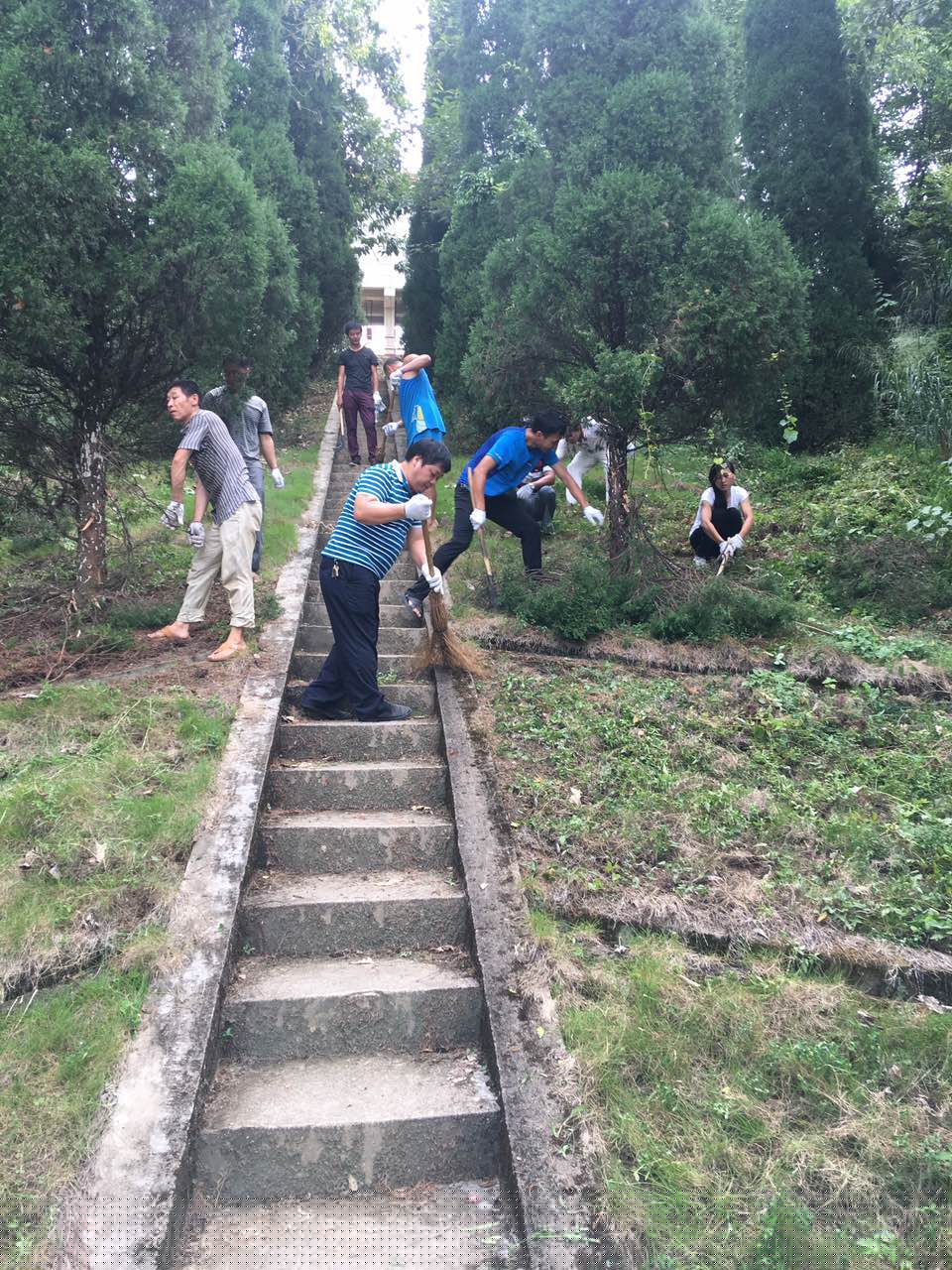 ��̲ˮ������ֽ�����Ա��ա��䵽ʵ������Ч